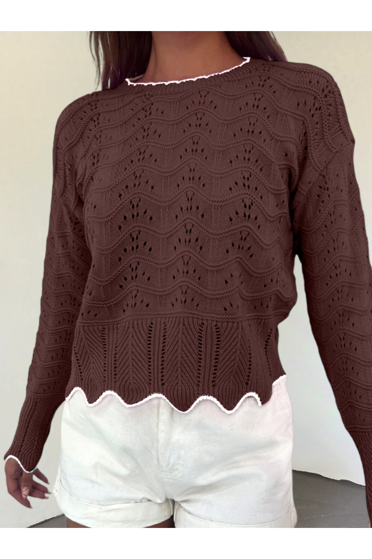 Knit Pattern Openwork Crop Knitwear Sweater -Brown